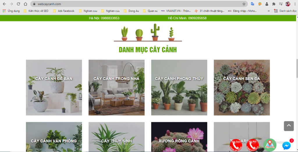 website bán hàng cây cảnh